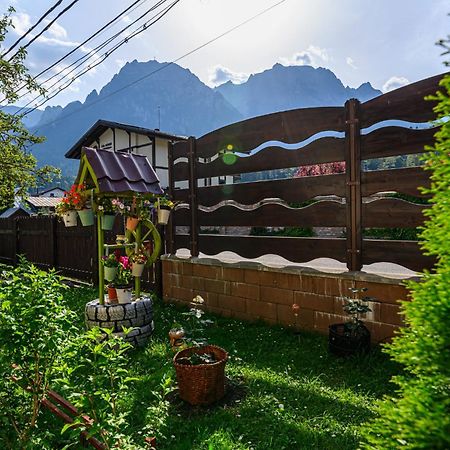 Hotel Casa Ramino Buşteni Exterior foto