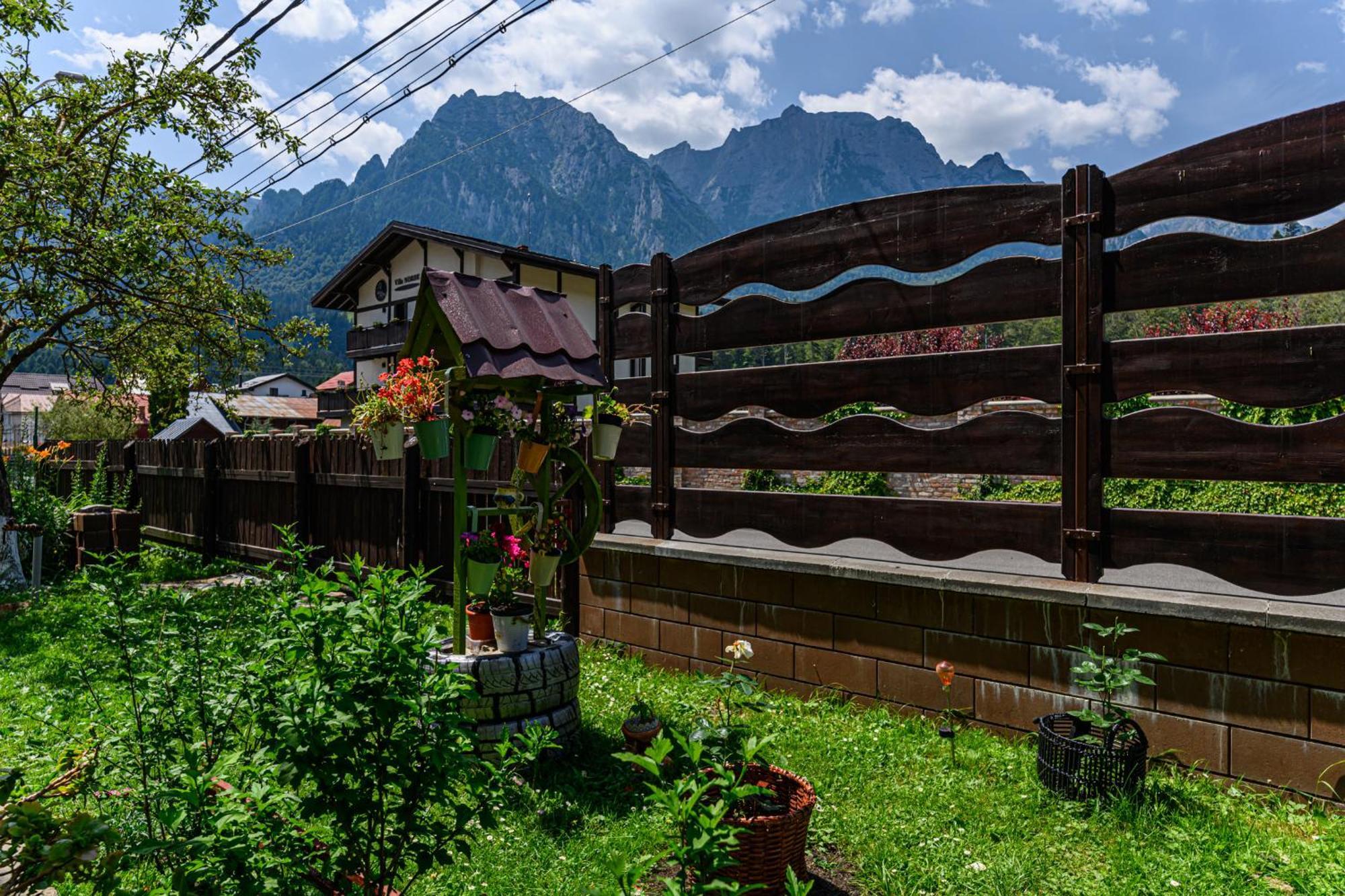 Hotel Casa Ramino Buşteni Exterior foto